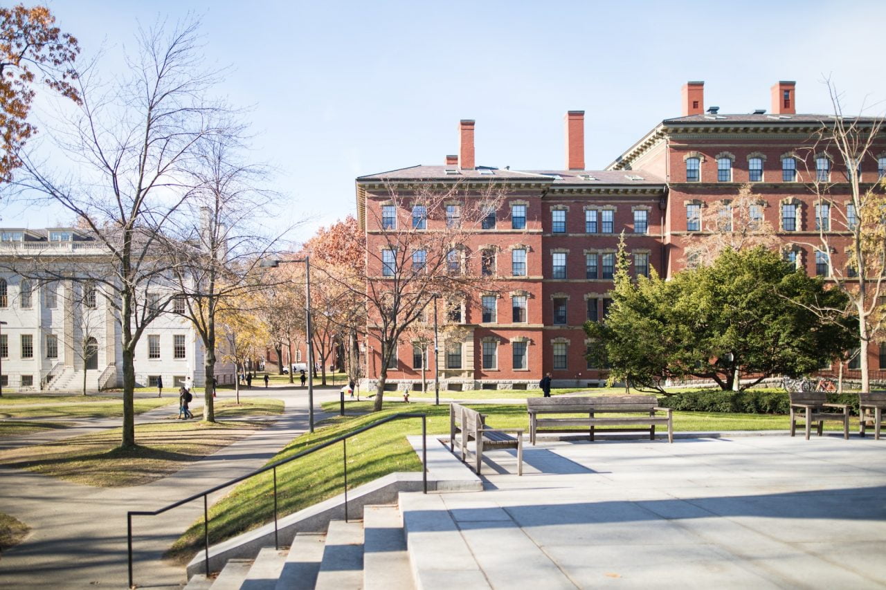 havard university